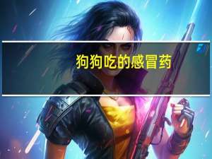 狗狗吃的感冒药