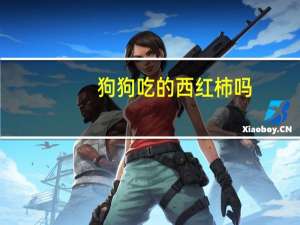 狗狗吃的西红柿吗