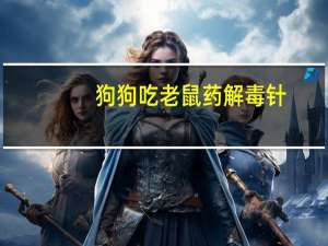狗狗吃老鼠药解毒针
