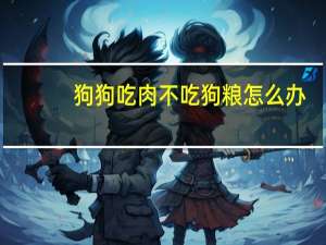 狗狗吃肉不吃狗粮怎么办