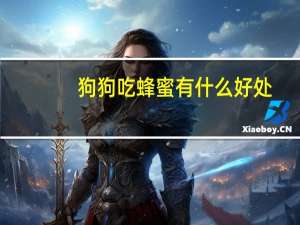 狗狗吃蜂蜜有什么好处