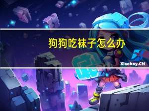 狗狗吃袜子怎么办