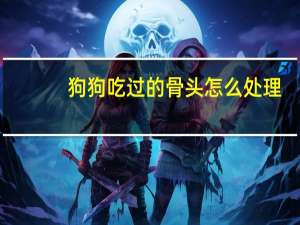 狗狗吃过的骨头怎么处理