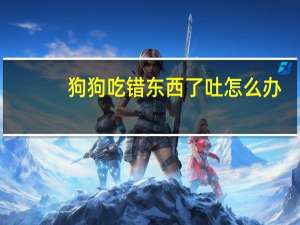 狗狗吃错东西了吐怎么办