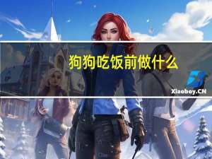 狗狗吃饭前做什么