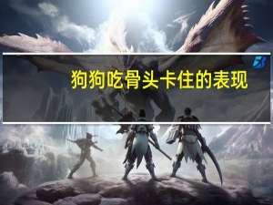狗狗吃骨头卡住的表现