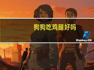狗狗吃鸡腿好吗