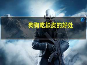 狗狗吃麸皮的好处