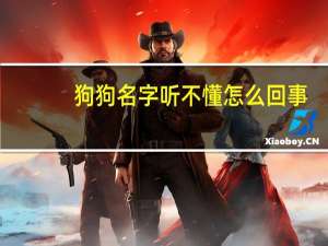 狗狗名字听不懂怎么回事