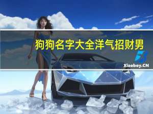 狗狗名字大全洋气招财男