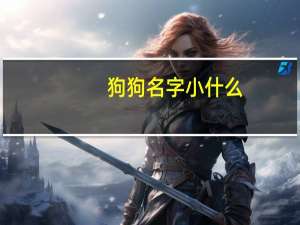 狗狗名字小什么