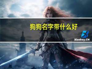 狗狗名字带什么好