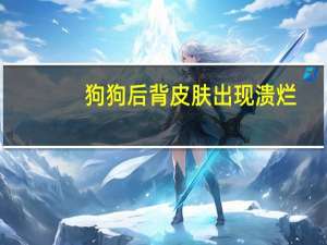 狗狗后背皮肤出现溃烂
