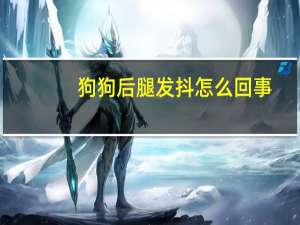 狗狗后腿发抖怎么回事