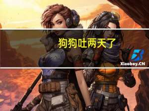 狗狗吐两天了