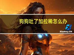 狗狗吐了加拉稀怎么办