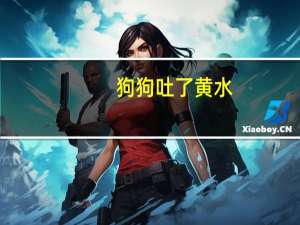 狗狗吐了黄水