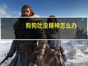 狗狗吐没精神怎么办