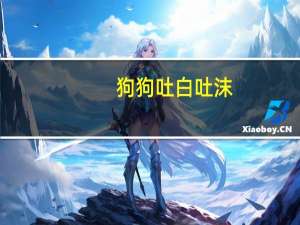 狗狗吐白吐沫