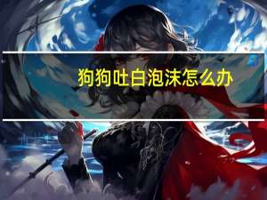 狗狗吐白泡沫怎么办