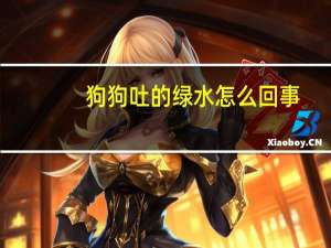 狗狗吐的绿水怎么回事