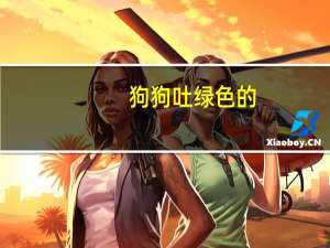 狗狗吐绿色的