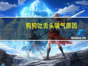 狗狗吐舌头喘气原因
