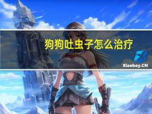 狗狗吐虫子怎么治疗