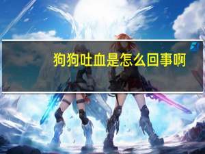 狗狗吐血是怎么回事啊
