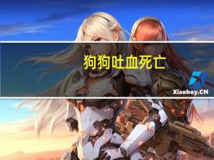 狗狗吐血死亡