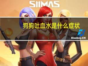狗狗吐血水是什么症状