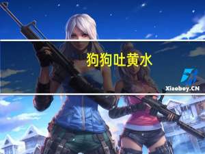 狗狗吐黄水