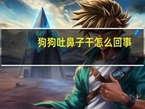 狗狗吐鼻子干怎么回事