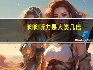 狗狗听力是人类几倍