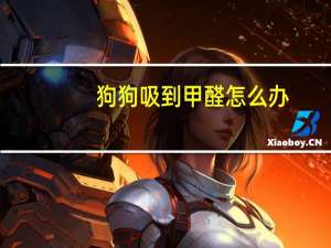 狗狗吸到甲醛怎么办