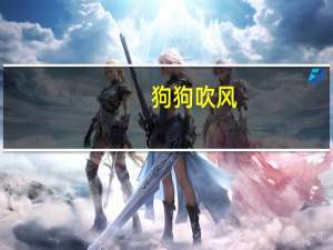 狗狗吹风