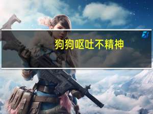 狗狗呕吐不精神