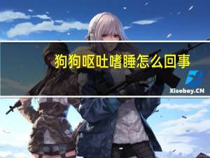 狗狗呕吐嗜睡怎么回事