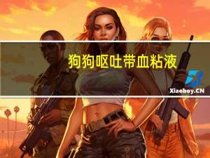 狗狗呕吐带血粘液