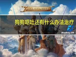 狗狗呕吐还有什么办法治疗