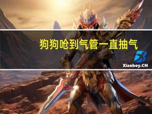 狗狗呛到气管一直抽气
