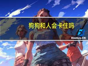 狗狗和人会卡住吗