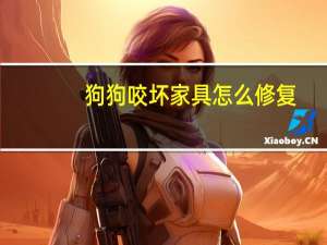 狗狗咬坏家具怎么修复