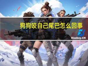 狗狗咬自己尾巴怎么回事