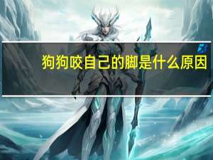 狗狗咬自己的脚是什么原因
