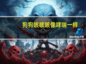 狗狗咳咳咳像哮喘一样