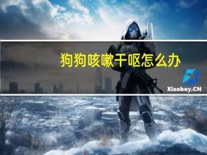 狗狗咳嗽干呕怎么办