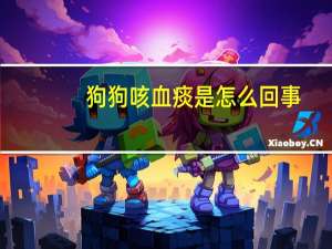狗狗咳血痰是怎么回事