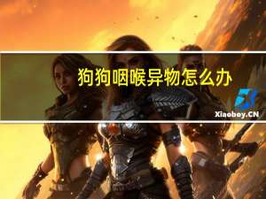 狗狗咽喉异物怎么办