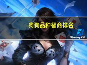 狗狗品种智商排名